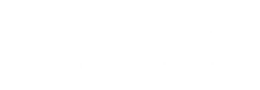 fanatics