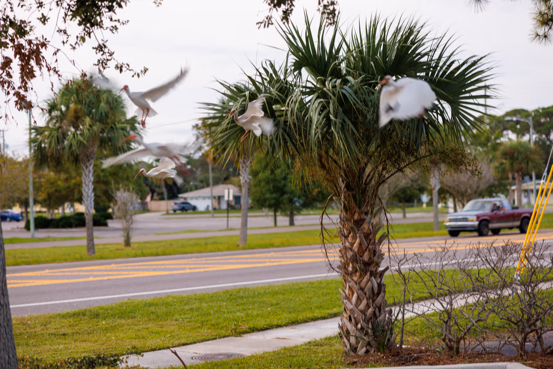 Gulf Shore Dentistry - Dunedin, Florida - Dentist in Dunedin, FL