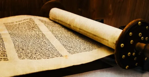 Torah-ly Awesome
