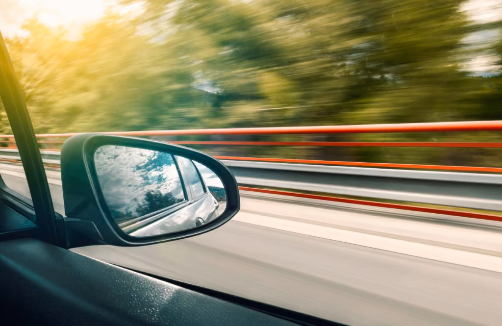Black Wing Mirror