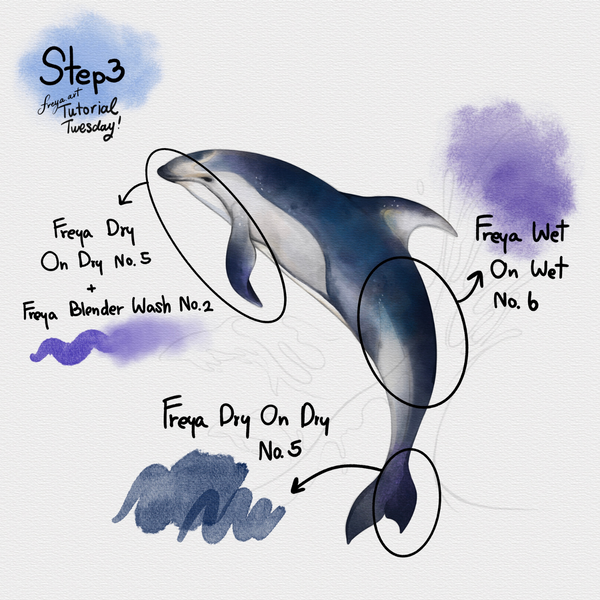 Freya.art Dolphin Tutorial for Procreate using Freya's Ultimate Watercolor Brushset_Step 3