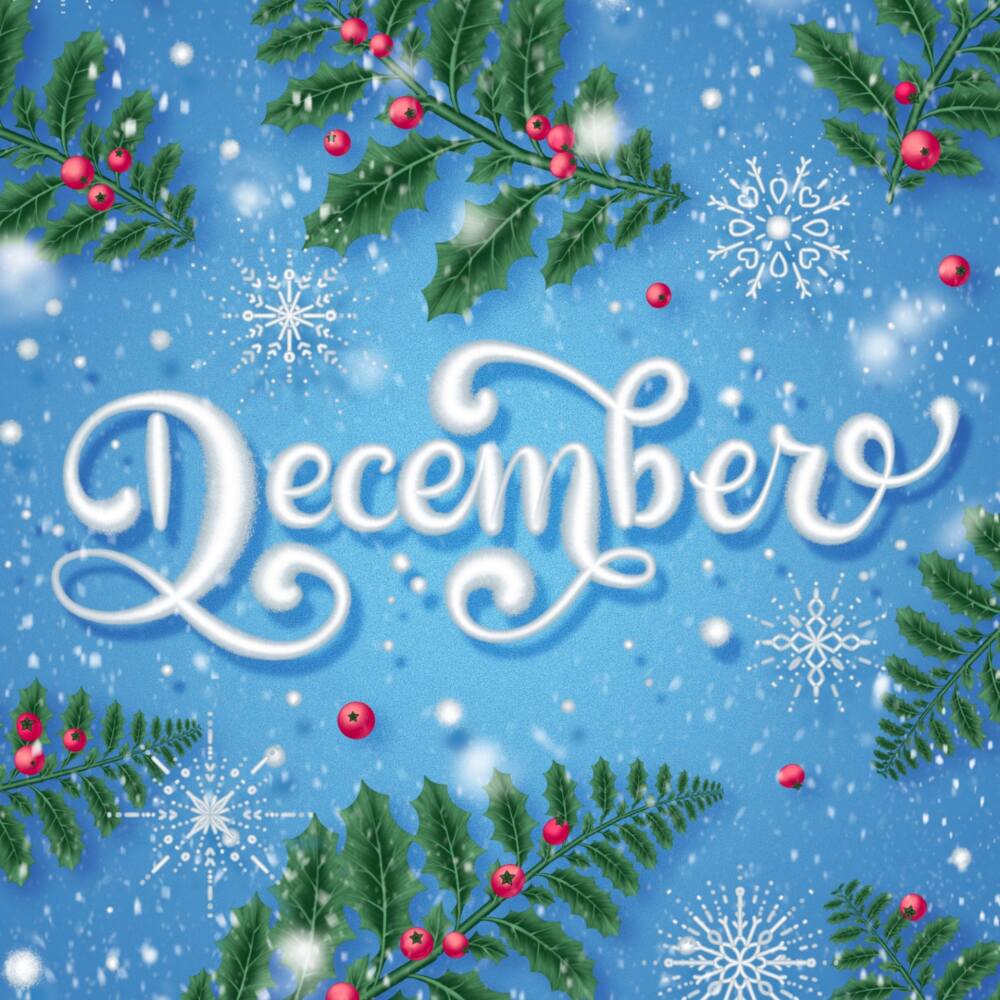 December Lettering Tutorial for Procreate