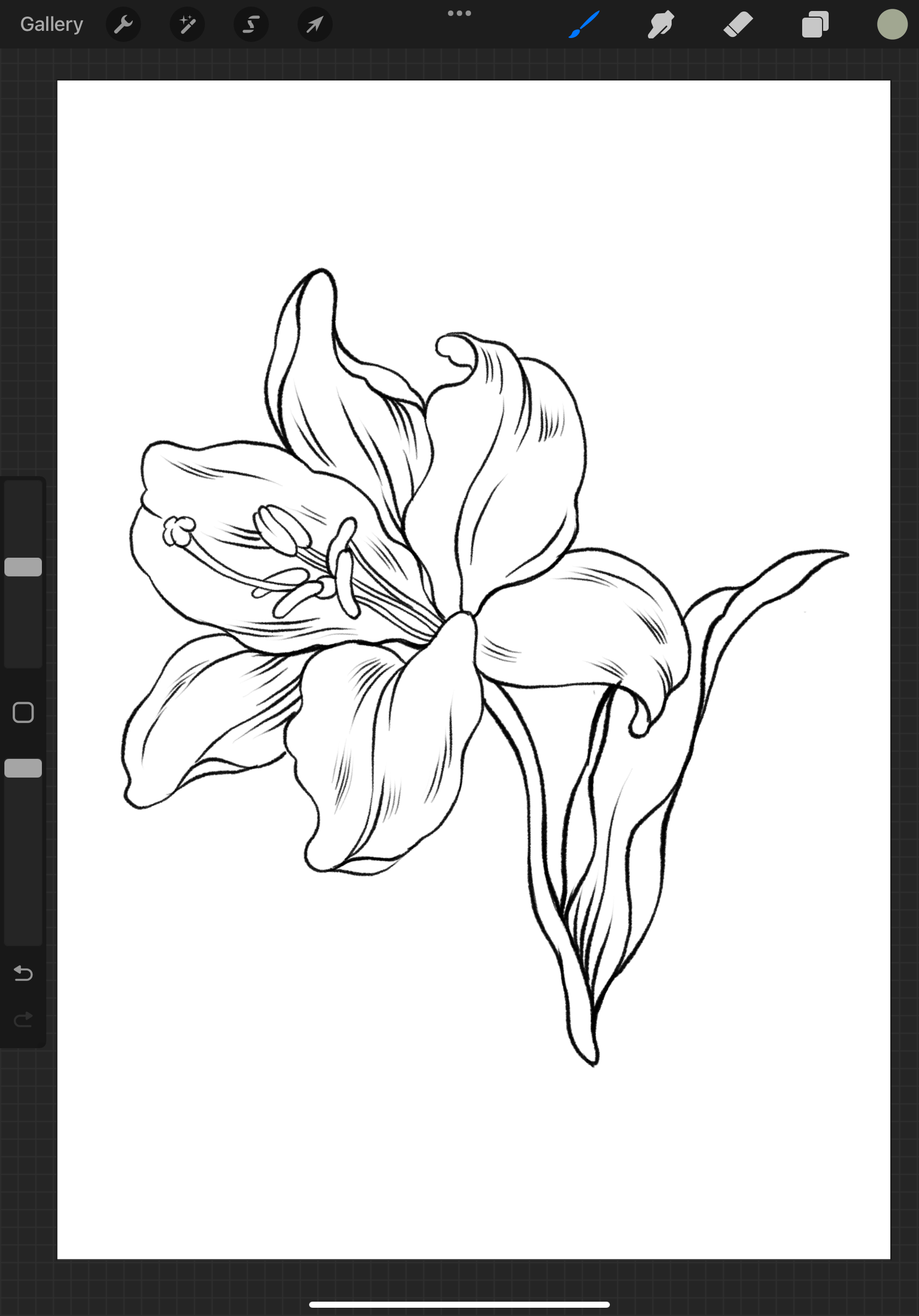 A coloring page of a single flower