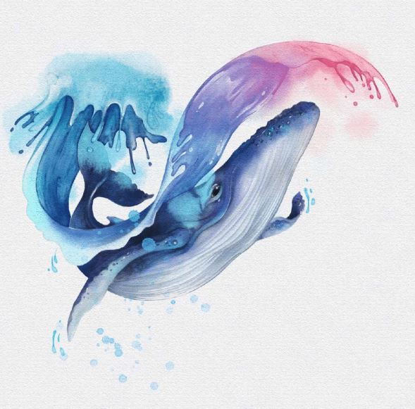 Humpback Whale Procreate Watercolor Tutorial