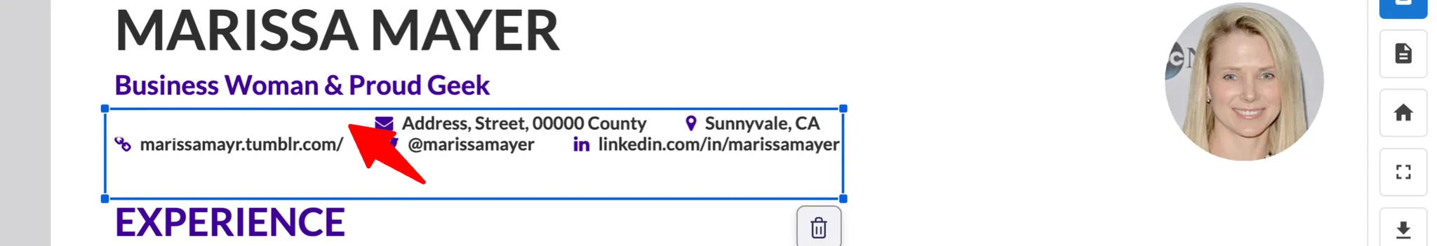 Manatal CV Redaction