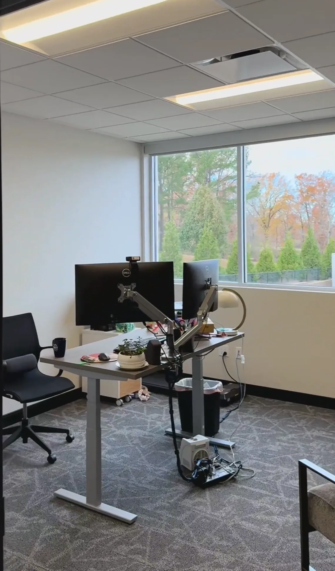Modern office workspace with dual monitors, plants, and autumn trees outside