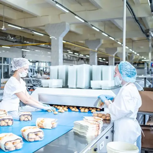 Workers in clean suits process food on conveyor belt in modern factory