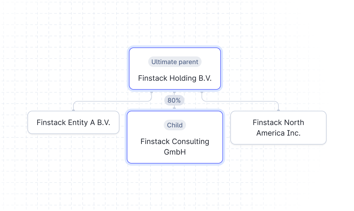Non-controlling interest in the Finstack platform.