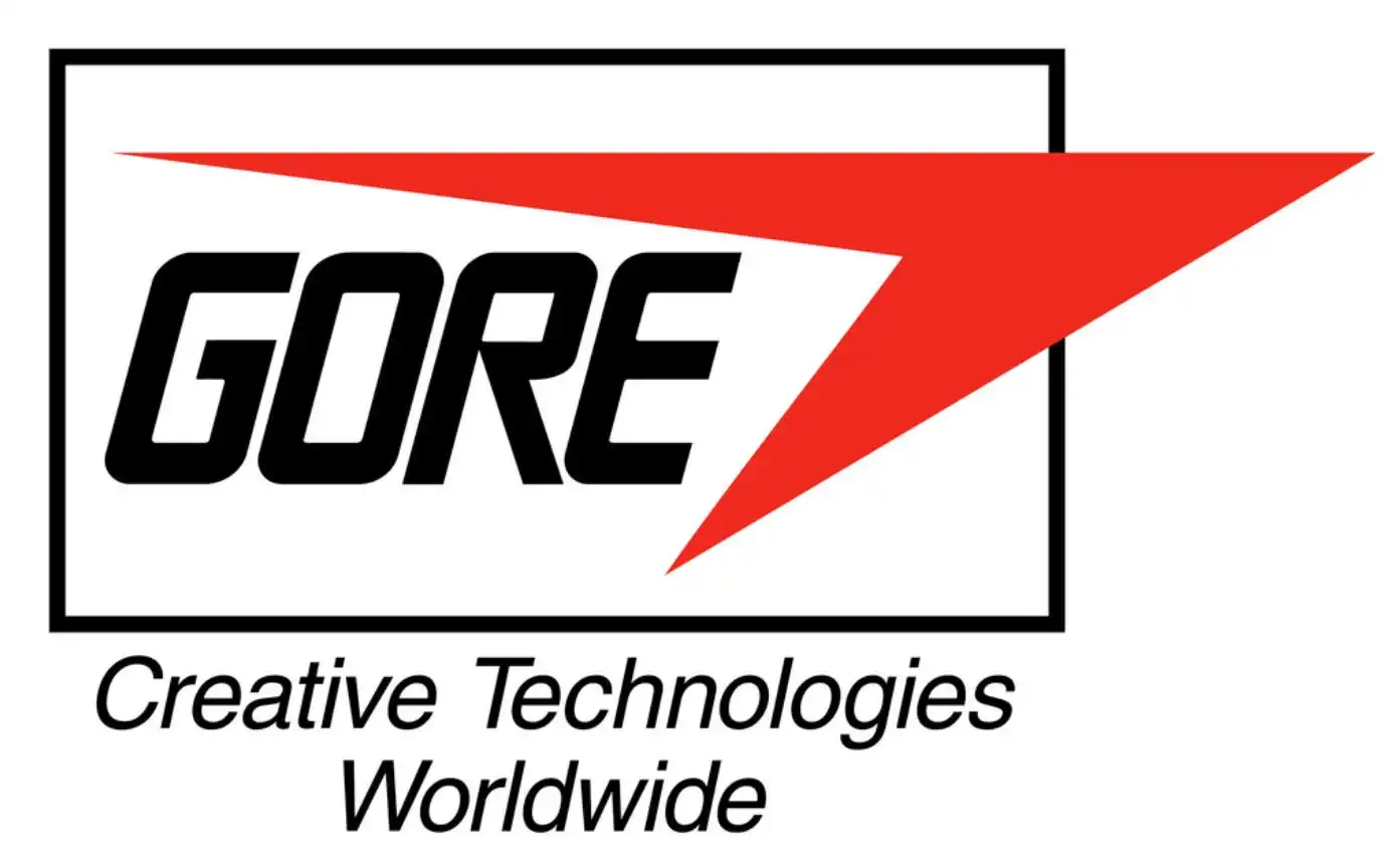 Gore Corporate culture examples