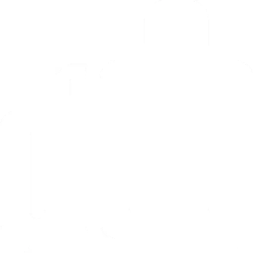 Pre-Travel Check Ups