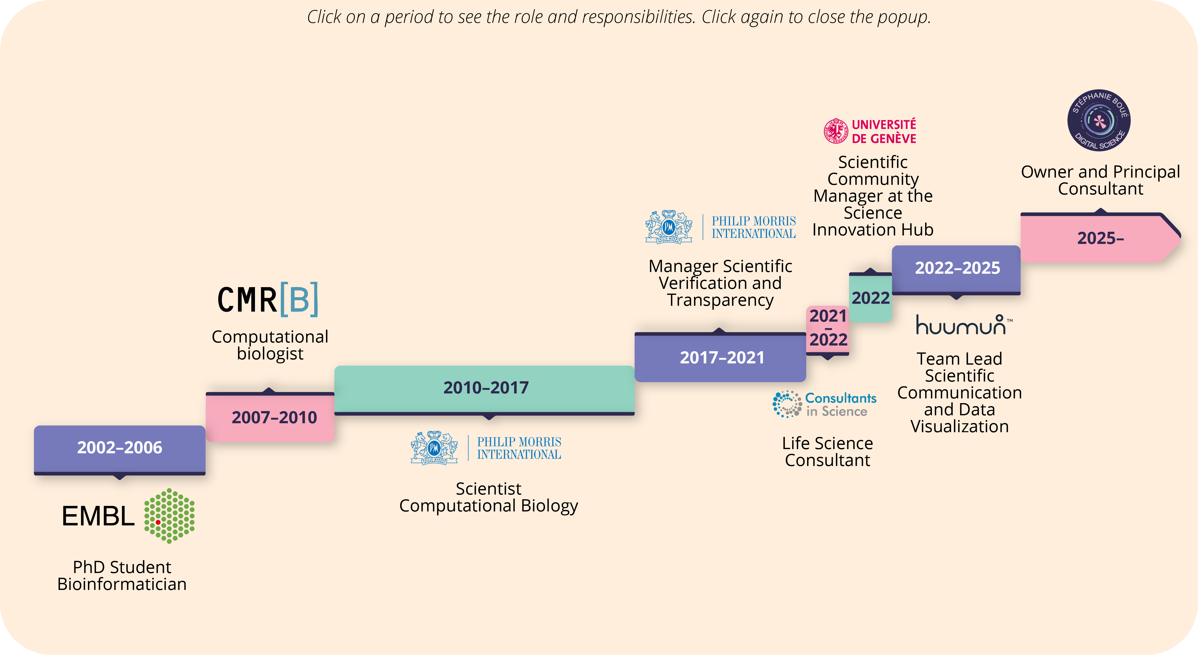 Work employment timeline