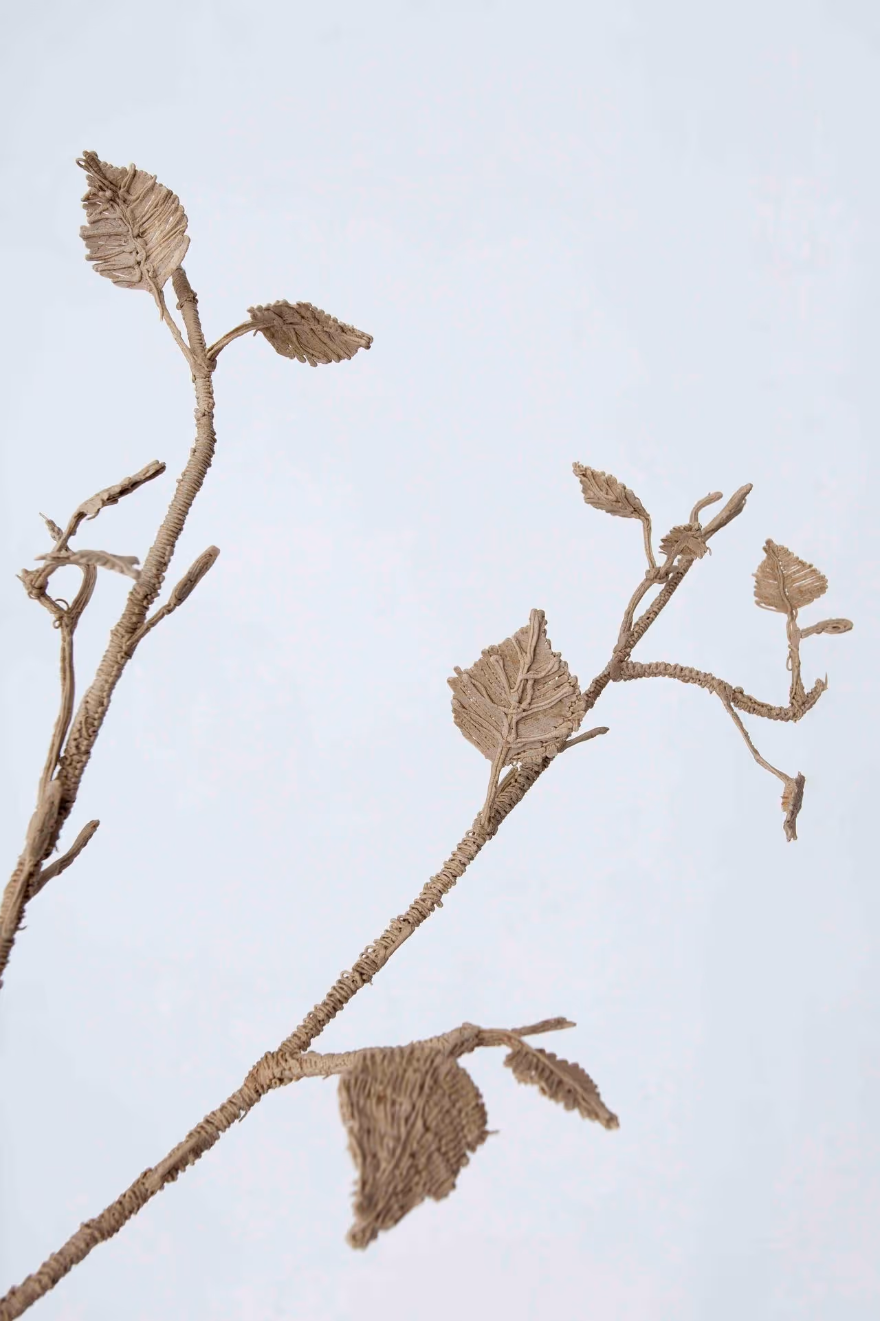 Exhibition opening at B-Part: Portrait of a Birch – Martin Binder