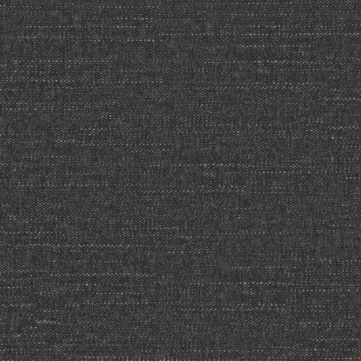 Curious Charcoal fabric swatch