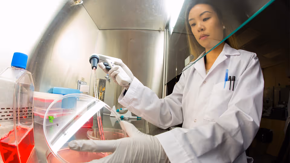 IMV immunotherapy for cancer