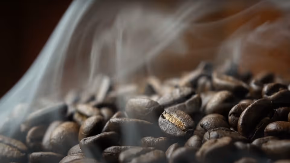 Nexe Innovation coffee pods