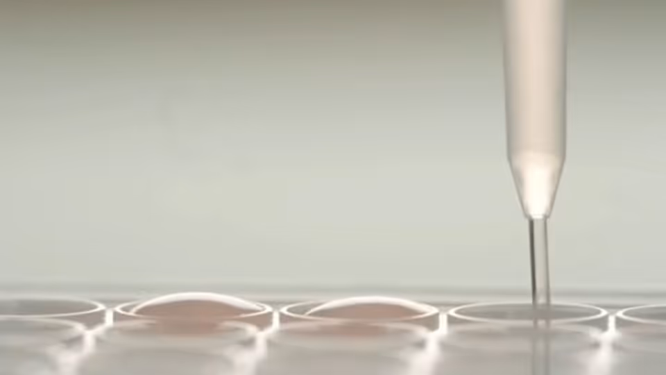 Small Pharma     Small Pharma