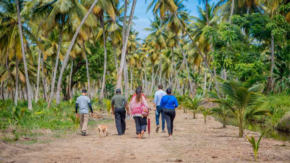 Klimat X Applies Innovative Approach to a Rapidly Growing Carbon Credit Market