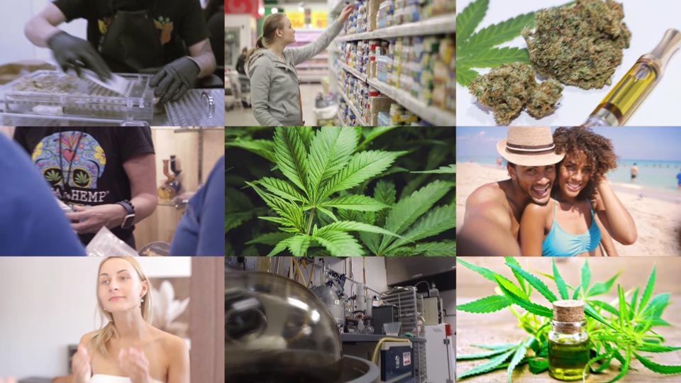 1933 Industries cannabis market