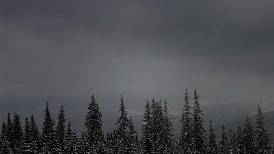 Skyline Wealth: Equity Growth Opportunity