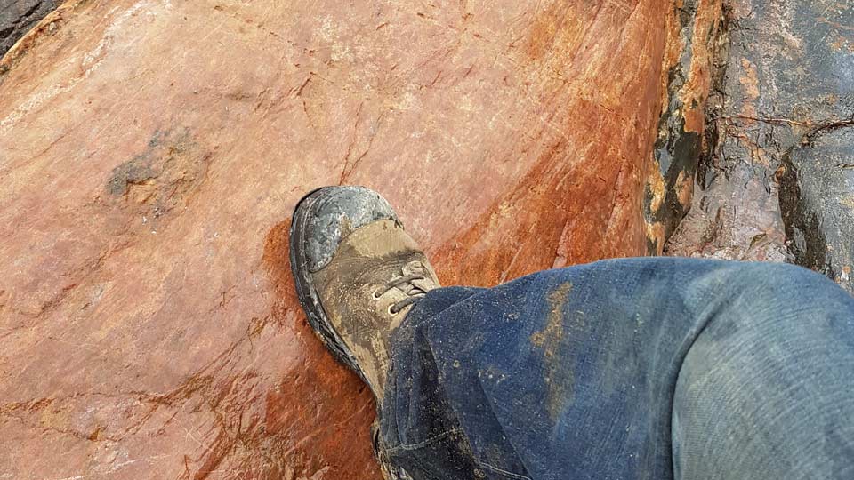 Appia mining rare earth minerals Appia Energy Rare Earth Metals