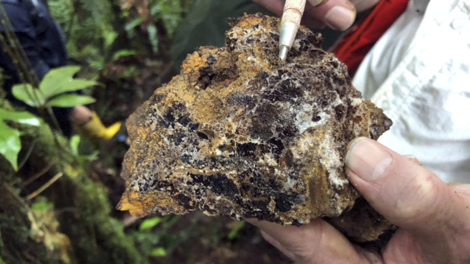 Mineral Exploration Company