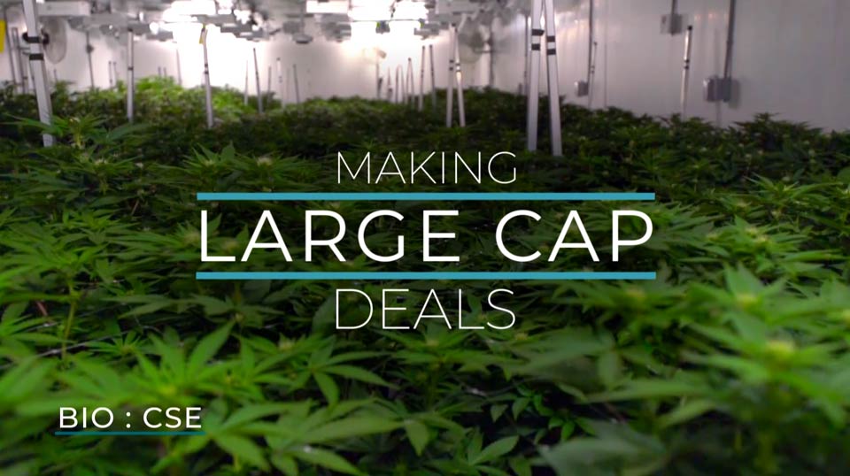 mall Cap Cannabis Deals
