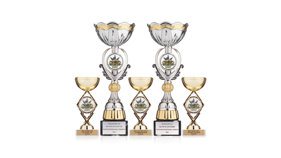 Body and Mind cannabis awards Body and Mind cannabis products