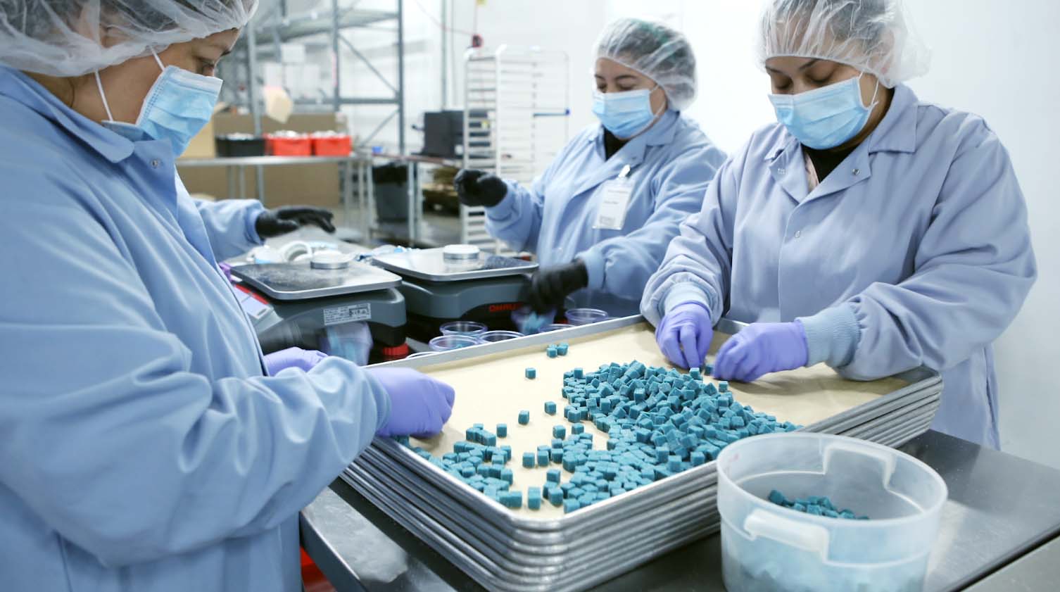 Blooming Cannabis Sector