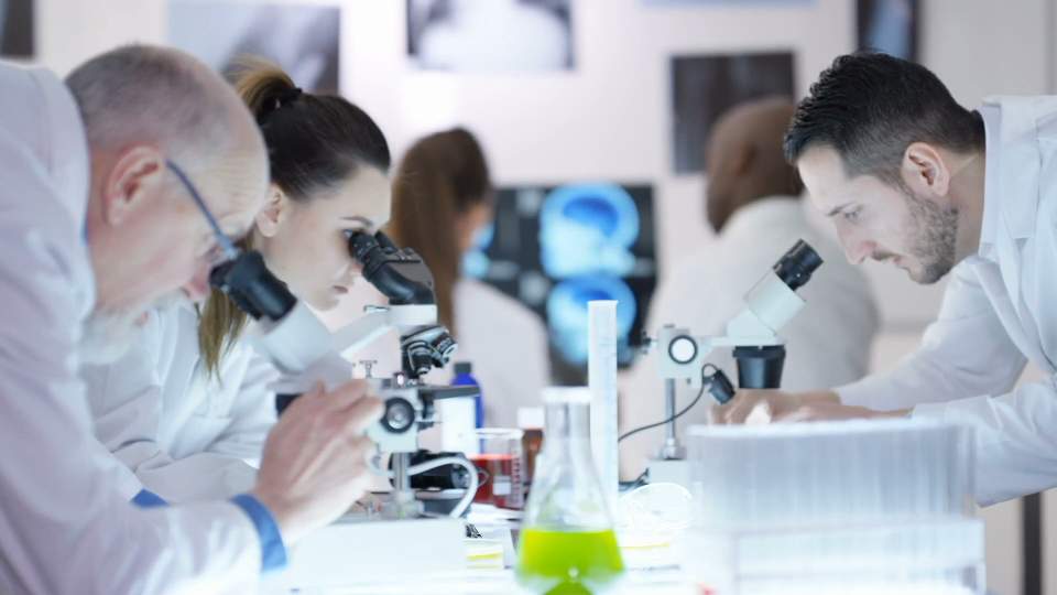 Life Sciences stocks