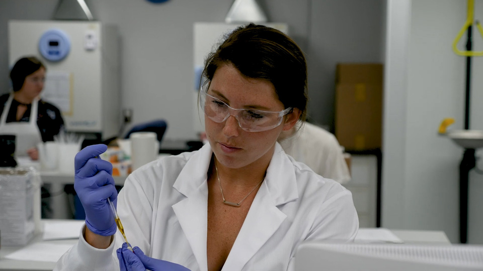 Canada House Wellness cannabis