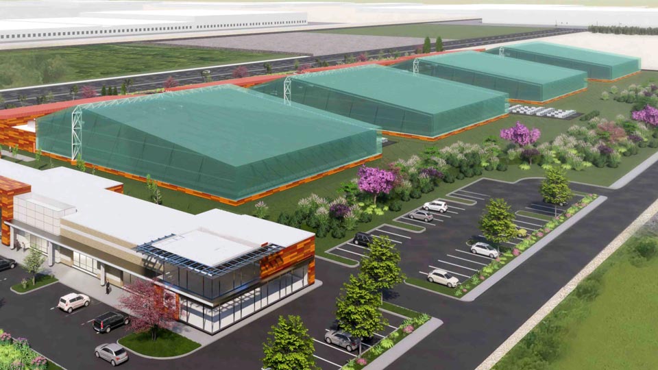 sustainable cultivation