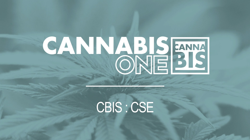 Cannabis One Holdings