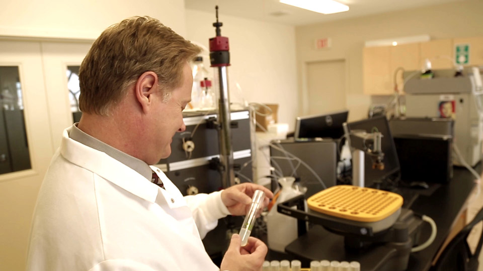 CanniMed Ltd. Providing Pharmaceutical-Grade Cannabis For Canadians