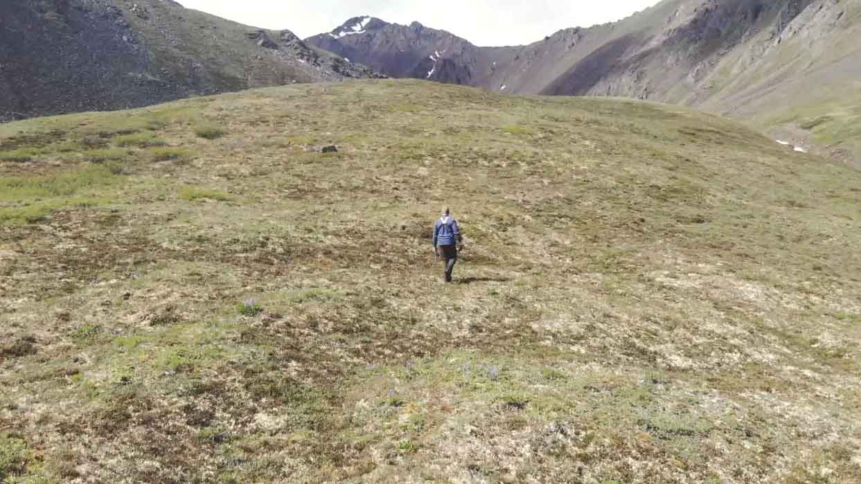 Go Cobalt Mining battery metals exploration