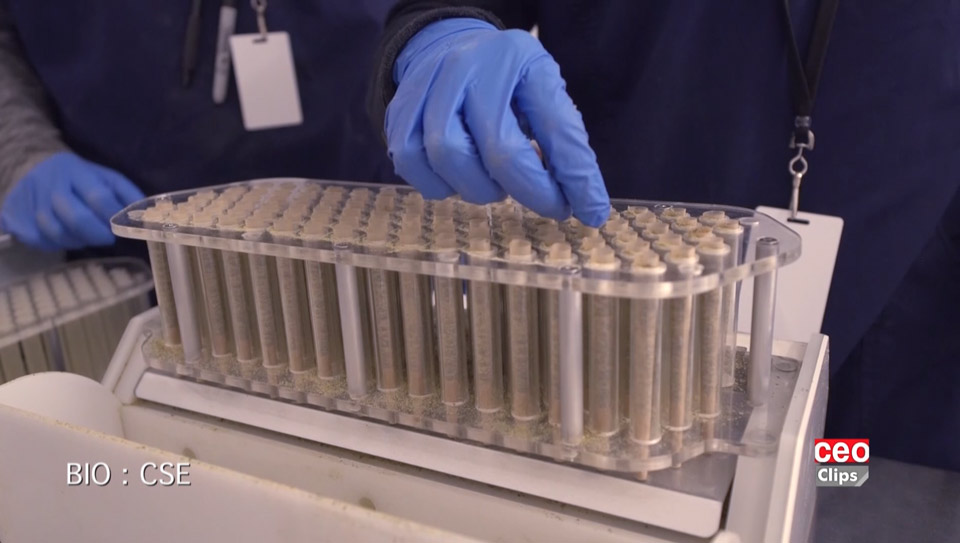 Biome Grow cannabis producer