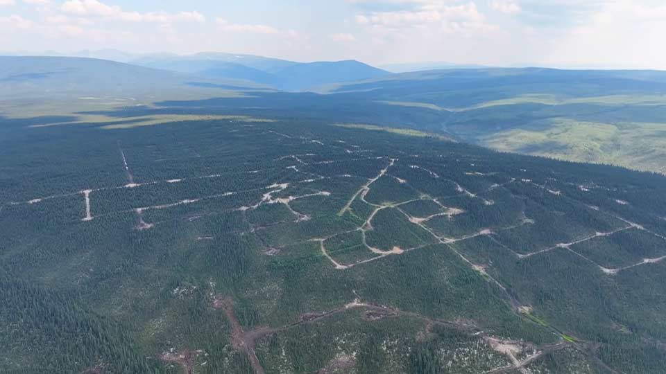 Invest Yukon: The Tombstone Gold Belt