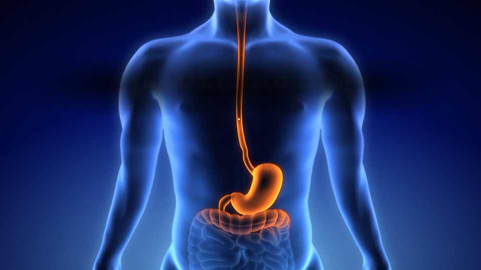 Lexaria Bioscience: Elevating GLP-1 Treatment with Superior Oral Delivery