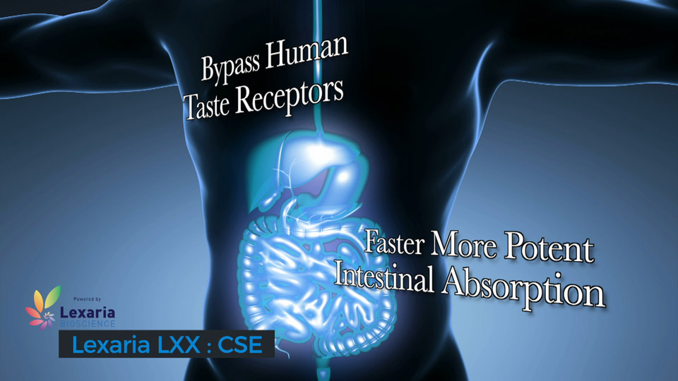 Lexaria Bioscience Improved Taste, Smell and Absorption In Drugs Absorption In Drugs