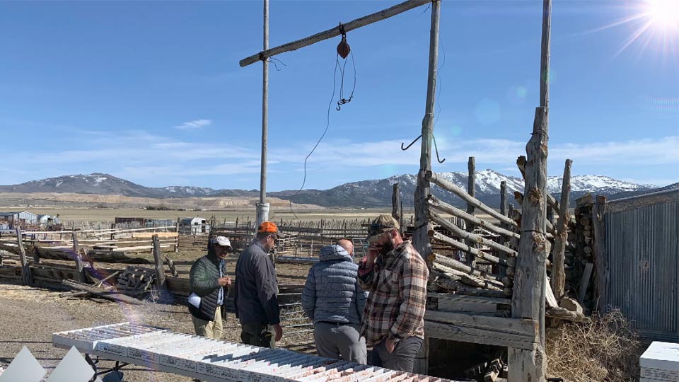 Millennial Precious Metals