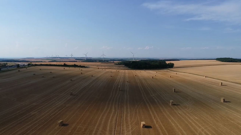 Mineworx Technologies