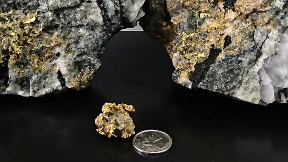 Monarch Gold Monarch Gold