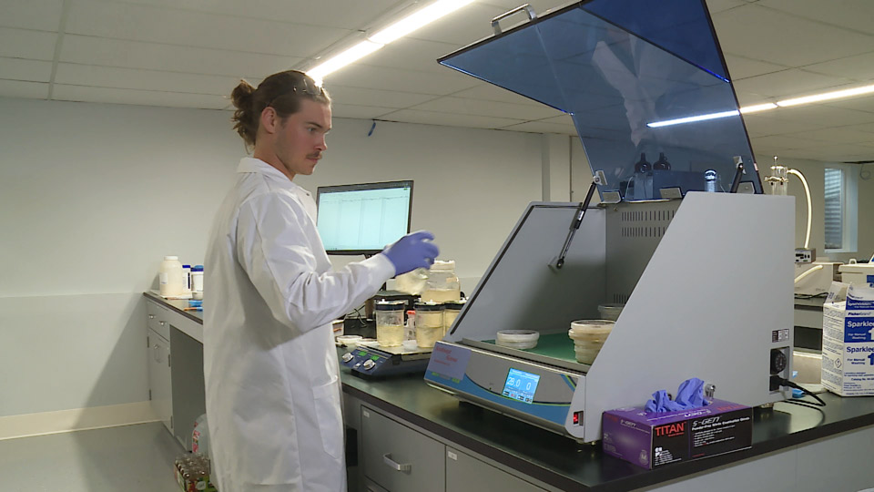 Mydecine Innovations psychedelics