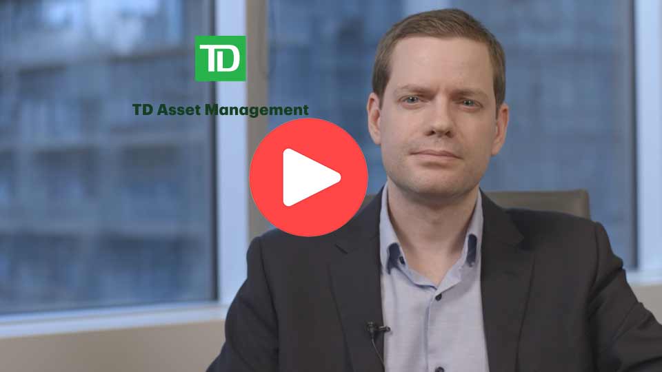Navigating Market Uncertainty with TD Asset Management's Dividend ETFs