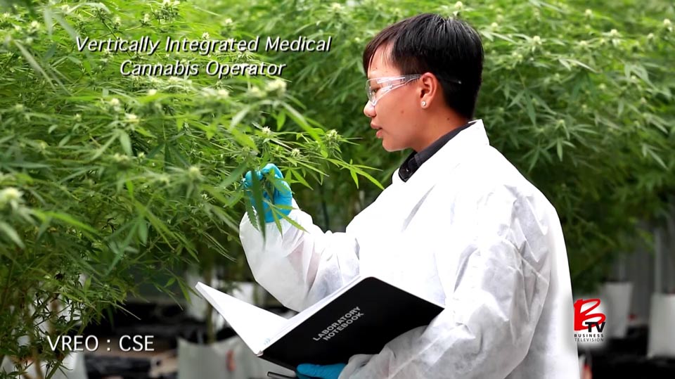 Vireo Health, Cannabis Market