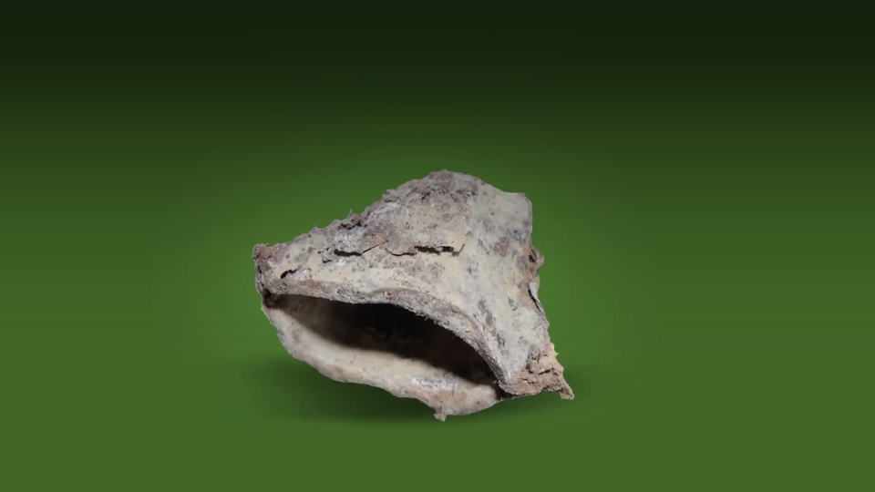 Nexe Innovations compostable coffee pod