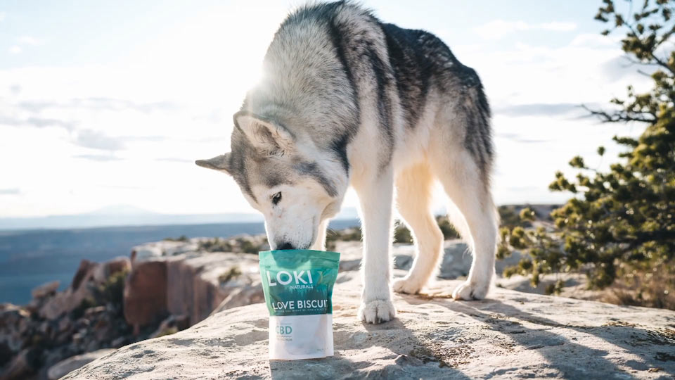 Next Green Wave Loki the Wolfdog premium cannabis Next Green Wave quality cannabis