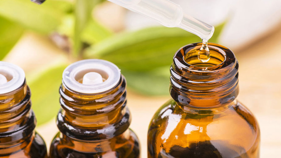 Nextleaf Solutions cannabis processing Nextleaf Solutions cannabis processing