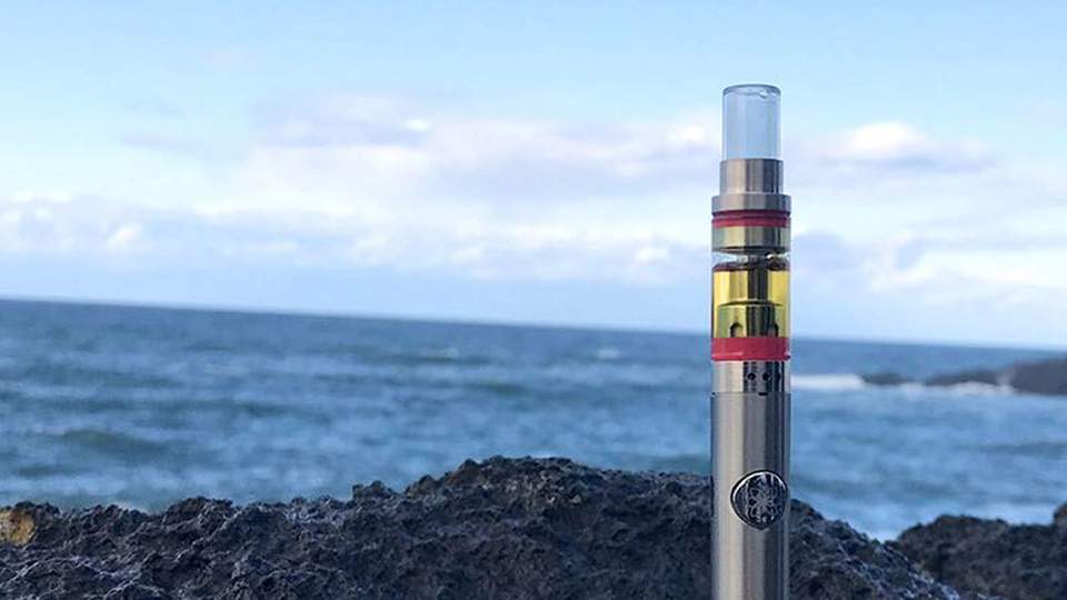 Orchid Ventures vape cannabis