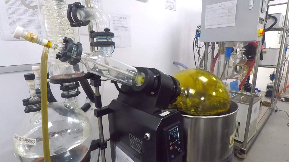 PharmaCielo cannabis processing