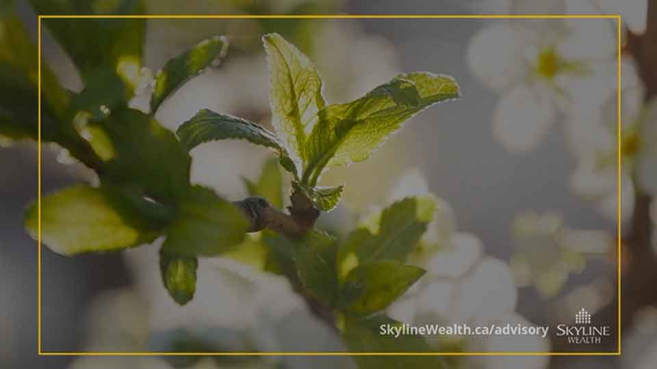 Skyline Clean Energy Fund: Investing in Sustainable Returns and Green Infrastructure Transition